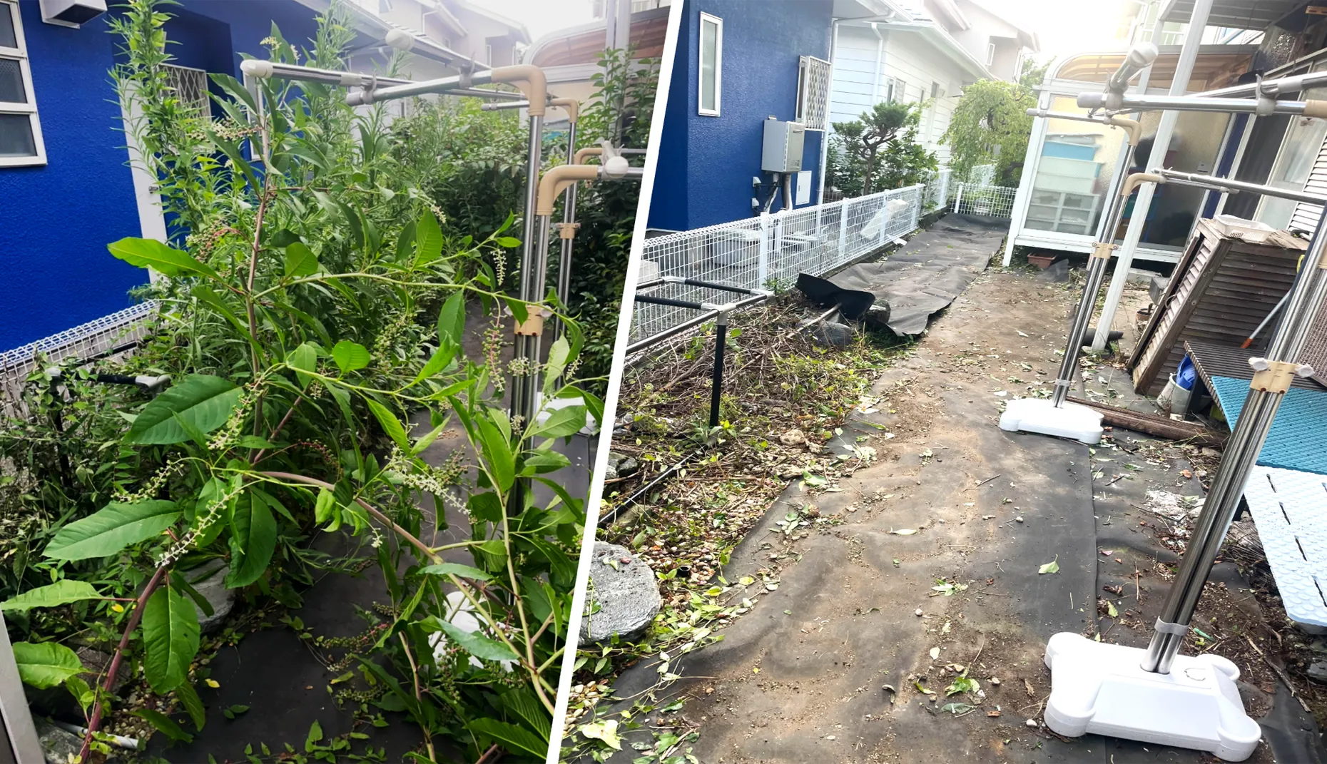 草むしり(手作業)の作業前と作業後